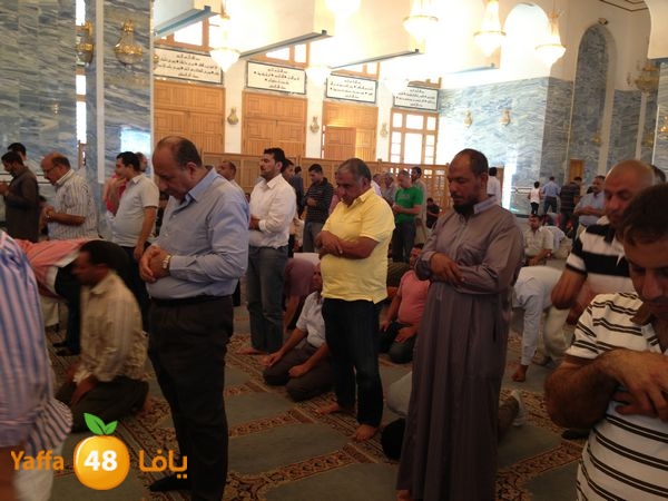 sharmelskhe7 (42).JPG